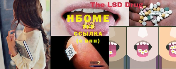 прущие грибы Аркадак