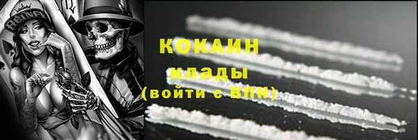 прущие грибы Аркадак