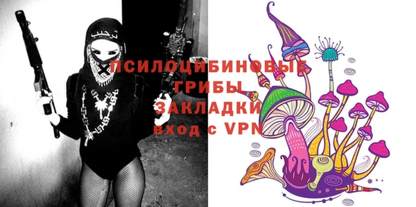 прущие грибы Аркадак