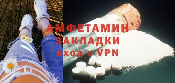 прущие грибы Аркадак